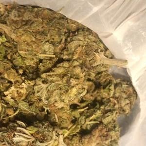 Meet your Posher, Ronald